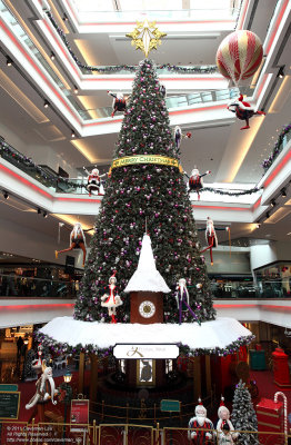 Tree in the Mall