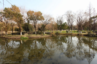 A Garden Pond