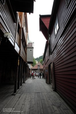 Narrow path