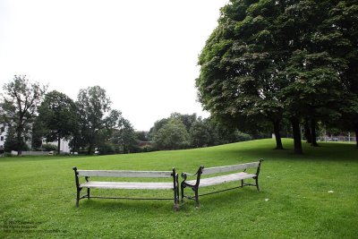 The Park