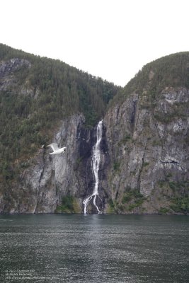 Waterfall by the cliff