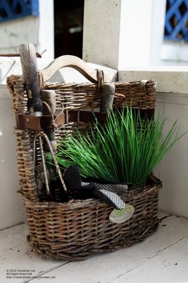 Potted