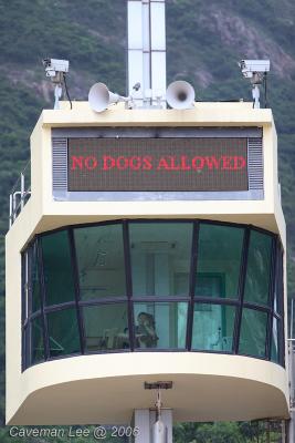 No dog is allowed !