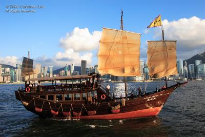 Harbour Tour