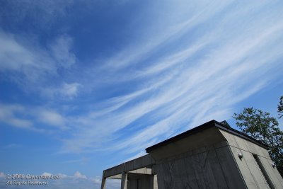 Cirrus aloft