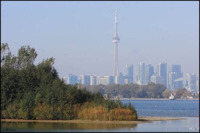 6194 Toronto Skyline.jpg