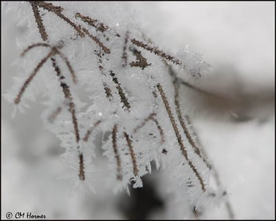 6604 Ice crystals.jpg