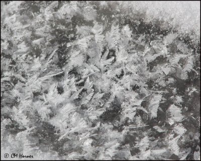 6619 Ice crystals.jpg