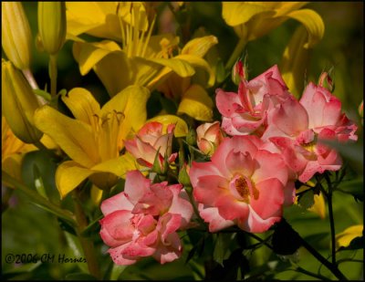 4203 Lilies and Roses.jpg