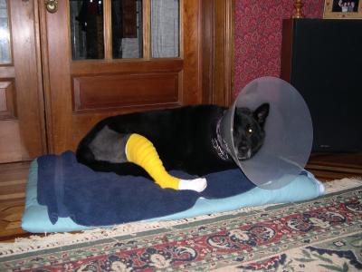 DSCN0840.JPG
