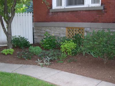 DSCN1621.JPG