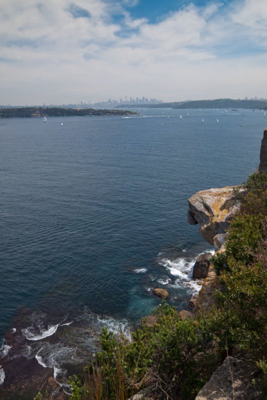 Sydney city and harbor from North Head<p>PA220177