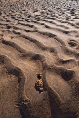 Sand ripples<p>P6121013