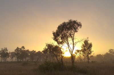 Foggy sunrise<p>SAM_255-257