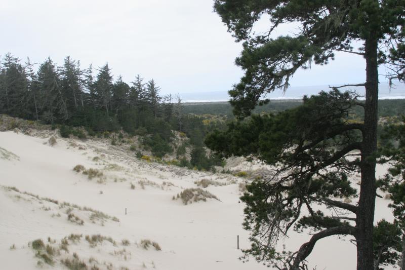 Oregon Dunes Area.JPG