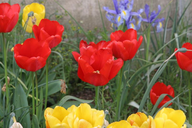 Outside Benton County Museum.jpg