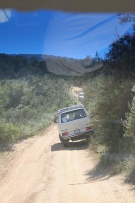 37 More Trail 1_resize.JPG