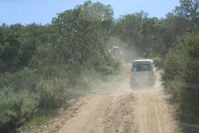 38 More Trail 2_resize.JPG