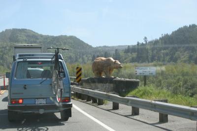 Along Hwy 299 1.JPG