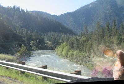 Along Hwy 299 2.jpg