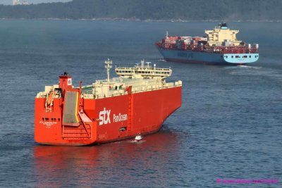STX Changxing Rose e Maersk Luz