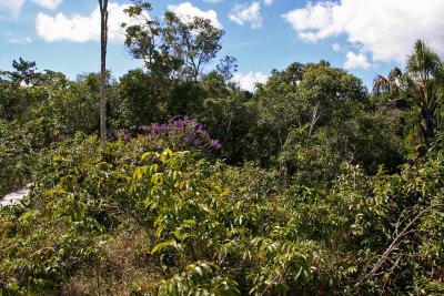 Chapada
