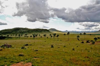 Jardim de Maytrea