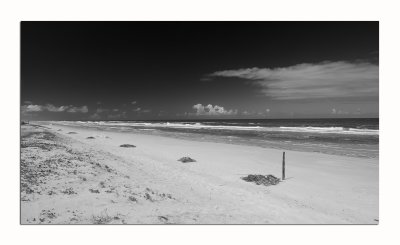 Praia - Black and White