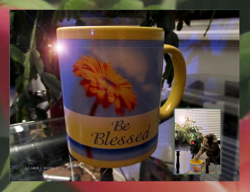 A Favorite Cup