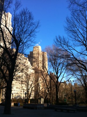 Central Park, NY