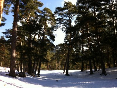 Cercedilla, 11 grados bajo cero!