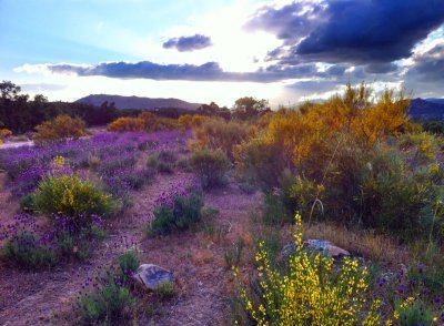 entre Moralzarzal y Becerril de la Sierra