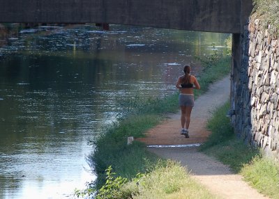 Lonely Runner