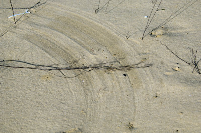 20120322 Drawings in the Sand  _5248.jpg