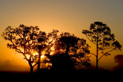Florida Sunrise  0013