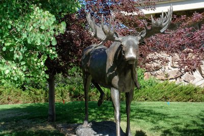 DSC02636 hdr Buffalo Bill Museum Cody Wy R1.jpg
