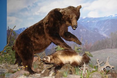 DSC02639 Buffalo Bill Museum Cody Wy R1.jpg