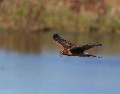 IMG_1357.JPG