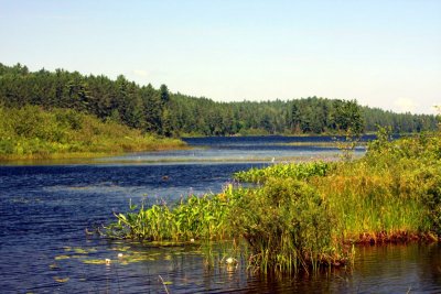 IMG_0775_small.JPG