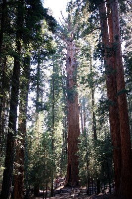 IMG_2401_small.JPG