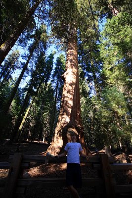 IMG_2406_small.JPG