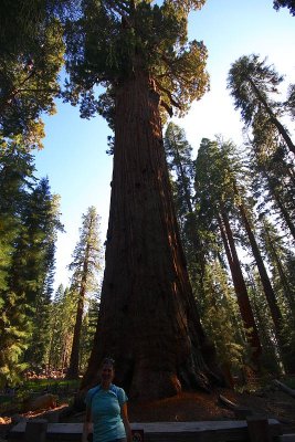 IMG_2416_small.JPG
