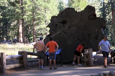 IMG_2419_small.JPG