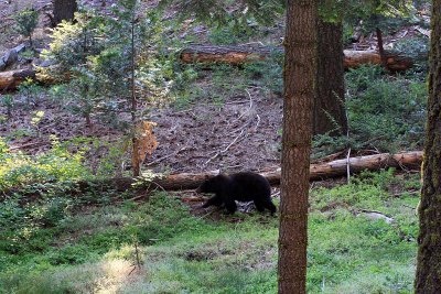 IMG_2462_small.JPG