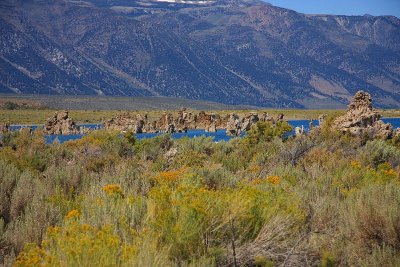 Mono Lake - this meadow used to be under the lake 100 years ago