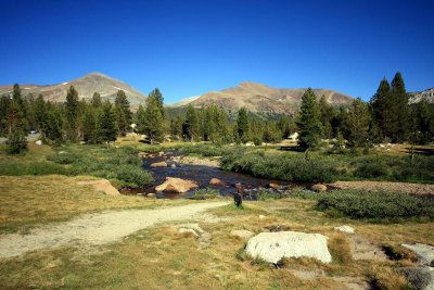 Alpine meadows