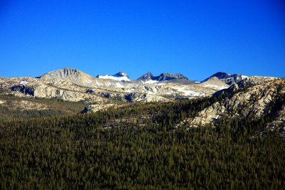 Vistas