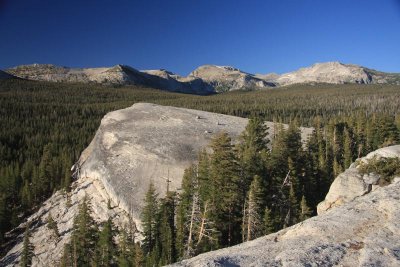Vistas