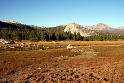 Meadow at sunset