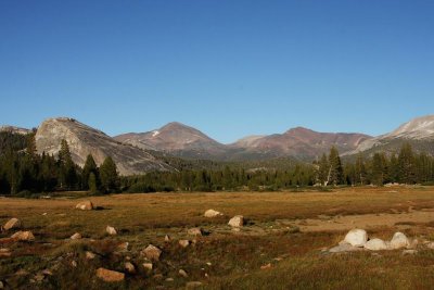 Meadow at sunset